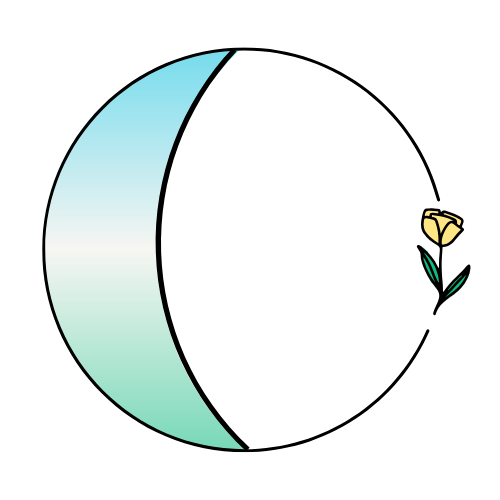 The Space Within